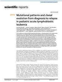 Mutational Patterns and Clonal Evolution from Diagnosis To