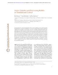 Stress Granules and Processing Bodies in Translational Control