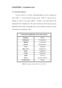 Thesis Final Edition