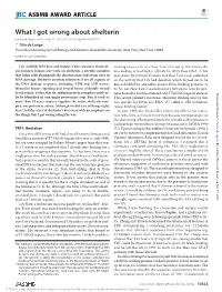 What I Got Wrong About Shelterin