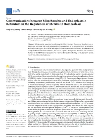 Communications Between Mitochondria and Endoplasmic Reticulum in the Regulation of Metabolic Homeostasis