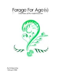 Forage for Age(S) Field Notes on the Fiddlehead Fern