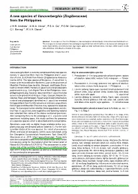 &lt;I&gt; Vanoverberghia &lt;/I&gt; (&lt;I&gt;Zingiberaceae&lt;/I&gt;) from The