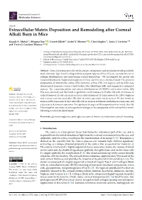 Extracellular Matrix Deposition and Remodeling After Corneal Alkali Burn in Mice