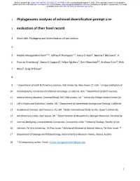 Phylogenomic Analyses of Echinoid Diversification Prompt a Re