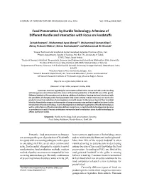 Food Preservation by Hurdle Technology: a Review of Different Hurdle and Interaction with Focus on Foodstuffs