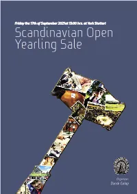 Scandinavian Open Yearling Sale 2021