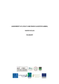 Assessment of a Peat Core from Clogwynygarreg