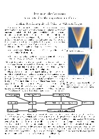 Feynman Checkerboard an Intro to Algorithmic Quantum Field Theory