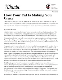 How Your Cat Is Making You Crazy