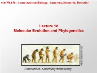 Molecular Evolution, Tree Building, Phylogenetic Inference