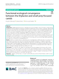 Functional Ecological Convergence Between the Thylacine and Small Prey-Focused Canids