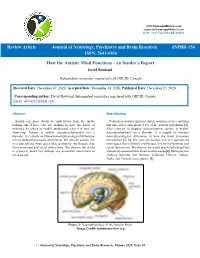 How the Autistic Mind Functions – an Insider’S Report