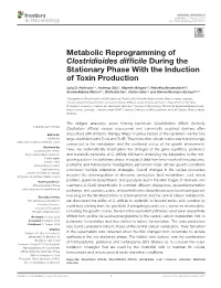 Metabolic Reprogramming of Clostridioides Difficile During The