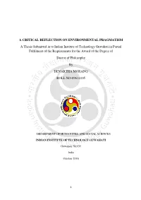A Critical Reflection on Environmental Pragmatism
