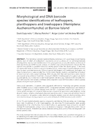 Morphological and DNA Barcode Species Identifications Of