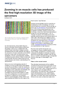 Zooming in on Muscle Cells Has Produced the First High-Resolution 3D Image of the Sarcomere 24 March 2021