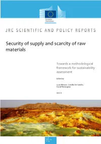 Security of Supply and Scarcity of Raw Materials