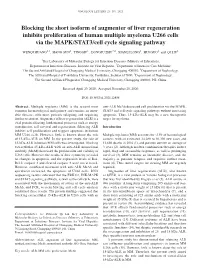 Blocking the Short Isoform of Augmenter of Liver Regeneration Inhibits Proliferation of Human Multiple Myeloma U266 Cells Via T