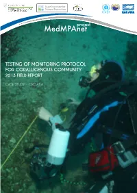 Field Work Report