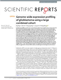 Genome-Wide Expression Profiling of Glioblastoma Using a Large