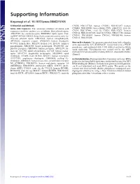 Supporting Information