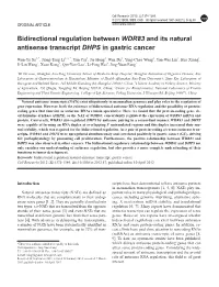 Bidirectional Regulation Between WDR83 and Its Natural Antisense Transcript DHPS in Gastric Cancer