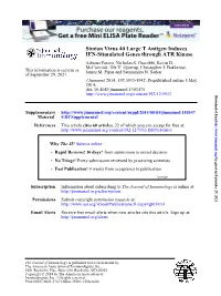 IFN-Stimulated Genes Through ATR Kinase Simian Virus 40 Large T Antigen Induces