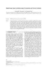 Single Image Super-Resolution Using Vectorization and Texture Synthesis