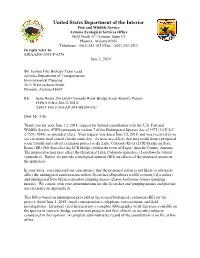 State Route 260 Little Colorado River Bridge Scour Retrofit Project FHWA File # 260-C(204)T ADOT File # 260-AP-394-H8269-01C