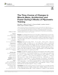 The Time-Course of Changes in Muscle Mass, Architecture and Power During 6 Weeks of Plyometric Training