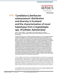 Candidatus Liberibacter Solanacearum’ Distribution and Diversity in Scotland and the Characterisation of Novel Haplotypes from Craspedolepta Spp