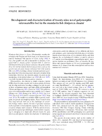 Development and Characterization of Twenty-Nine Novel Polymorphic Microsatellite Loci in the Mandarin Fish Siniperca Chuatsi