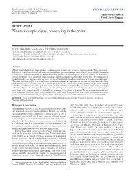 Nonretinotopic Visual Processing in the Brain