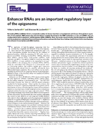 Enhancer Rnas Are an Important Regulatory Layer of the Epigenome