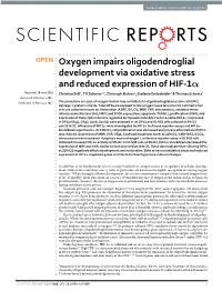 Oxygen Impairs Oligodendroglial Development Via Oxidative Stress