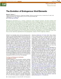 The Evolution of Endogenous Viral Elements