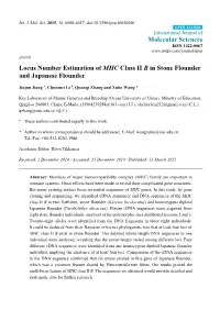 Locus Number Estimation of MHC Class II B in Stone Flounder and Japanese Flounder