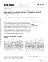 Mechanisms for Hydrogen Production by Different Bacteria During Mixed-Acid and Photo-Fermentation and Perspectives of Hydrogen Production Biotechnology