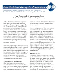 Plant Interpretation.Pdf