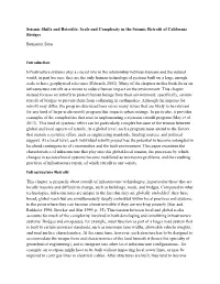 Scale and Complexity in the Seismic Retrofit of California Bridges Benjamin Sims Introduction Infr
