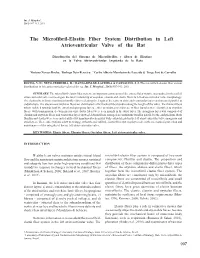 The Microfibril-Elastin Fiber System Distribution in Left Atrioventricular Valve of the Rat