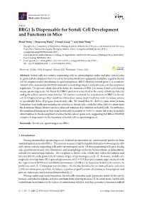 BRG1 Is Dispensable for Sertoli Cell Development and Functions in Mice