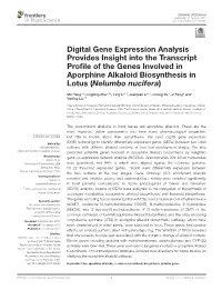 Digital Gene Expression Analysis Provides Insight Into the Transcript Proﬁle of the Genes Involved in Aporphine Alkaloid Biosynthesis in Lotus (Nelumbo Nucifera)