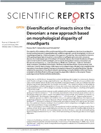 Diversification of Insects Since the Devonian