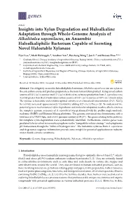 Insights Into Xylan Degradation and Haloalkaline
