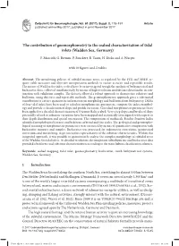 The Contribution of Geomorphometry to the Seabed Characterization of Tidal Inlets (Wadden Sea, Germany)