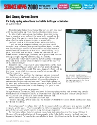 157-21(5-20-00) Red Snow, Green Snow: It's Truly Spring When Those
