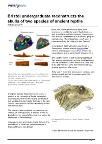 Bristol Undergraduate Reconstructs the Skulls of Two Species of Ancient Reptile 25 February 2019