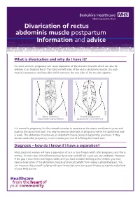 Divarication of Rectus Abdominis Muscle Postpartum Information And